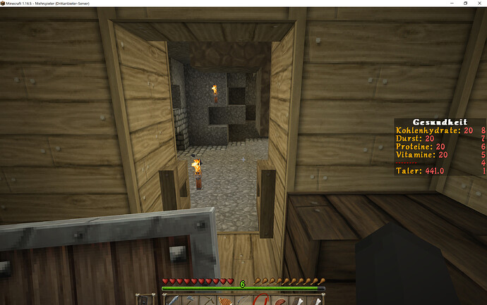 Minecraft 1.16.5 10.06.2021 17_43_58