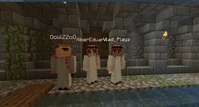 Minecraft_ 1.17.1 - Mehrspieler (Drittanbieter-Server) 29.10.2021 19_55_50