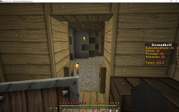 Minecraft 1.16.5 10.06.2021 17_44_12