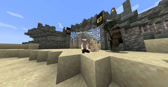 Bild_2025-06-08_224827340