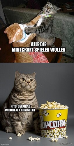 17617614576097441173382135074229